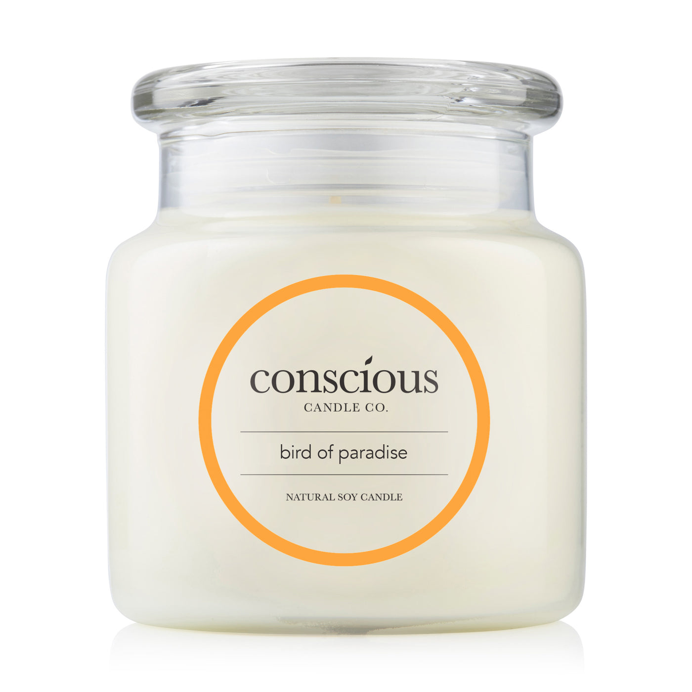 Bird of Paradise 510g Natural Soy Candle